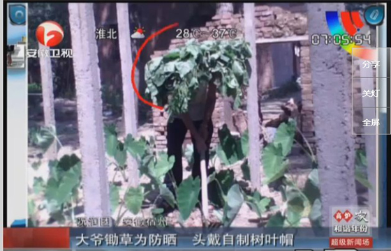 農(nóng)民防曬有絕招，就地取材，頭戴樹(shù)葉自制帽子