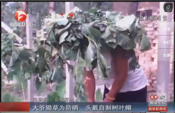 農(nóng)民防曬有絕招，就地取材，頭戴樹(shù)葉自制帽子